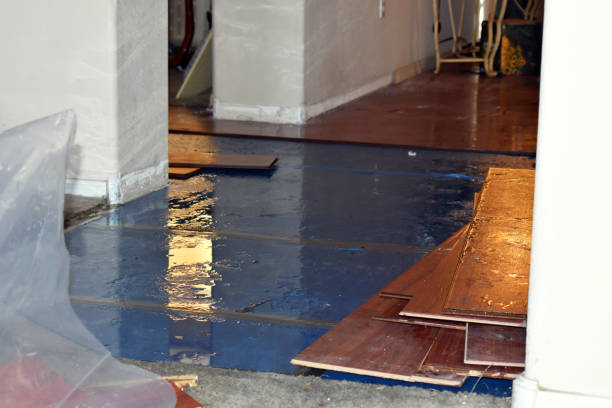 Professional Burst Pipe Cleanup technician working in Pembroke, MA