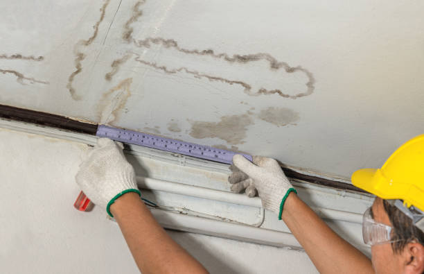 Reliable Burst Pipe Cleanup contractor in Pembroke, MA by Water Damage Irwin